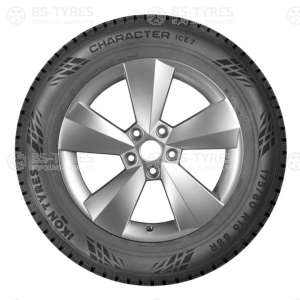 Ikon (Nokian Tyres) Character Ice 7 (Nordman 7) 215/55 R17 98T